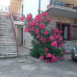 Ana