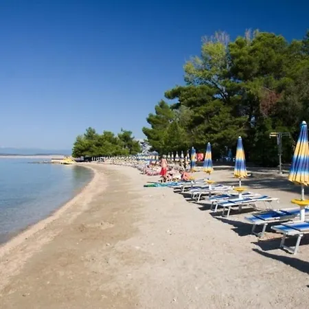 Ana Apartament